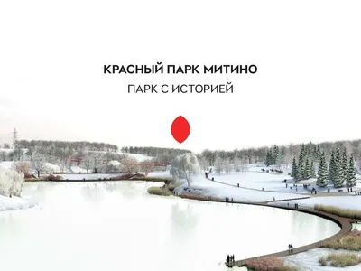 Обновленный парк «Митино» будет коммерчески успешным — иллюстрация 3.1